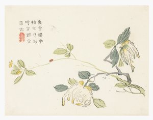 Jardín de semillas de mostaza de Chinese School