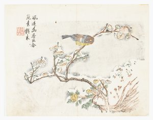 Jardín de semillas de mostaza de Chinese School