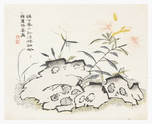 Jardín de semillas de mostaza de Chinese School