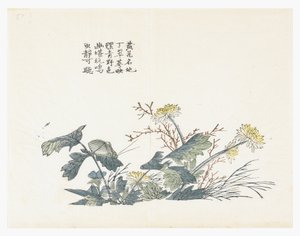 Jardín de semillas de mostaza de Chinese School