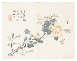 Jardín de semillas de mostaza de Chinese School