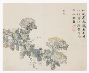 Jardín de semillas de mostaza de Chinese School