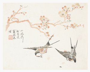 Jardín de semillas de mostaza de Chinese School