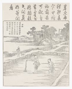 Sembrando el arroz en un semillero, siglo XVIII de Chinese School