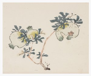 Serie de Diez Bambúes, siglo XVIII de Chinese School