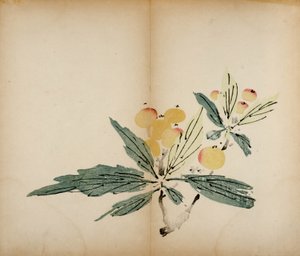 Impresiones del Estudio de los Diez Bambúes, 1643 de Chinese School