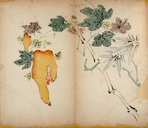 Impresiones del Estudio de los Diez Bambúes, 1643 de Chinese School