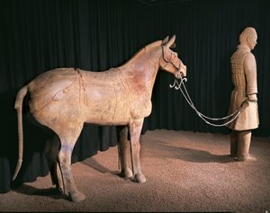 Guerrero del Ejército de Terracota, Mausoleo del Emperador Qin Shi Huang, siglo III a.C. (foto) de Chinese School