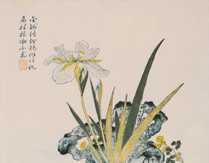 El jardín tan grande como un grano de mostaza, siglo XVII-XVIII de Chinese School