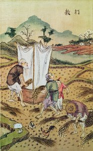 La historia del arroz de Chinese School