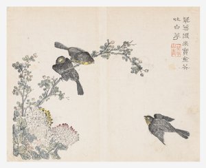 Jardín de semillas de mostaza de Ching yu Chiu