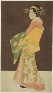Una selección de belleza de los barrios del placer (Seiro bisen awase): Hanamurasaki del Tamaya en procesión (Tamaya Hanamurasaki dochu no zu)