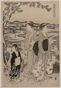 Omu el Loro (de la serie Siete Episodios Elegantes de la Vida de la Poetisa Ono no Komachi) de Chobunsai Eishi