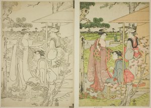 Viendo los cerezos en flor desde una casa de té en la colina Asuka de Chobunsai Eishi