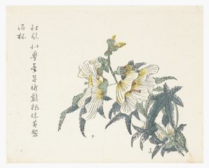 Jardín de semillas de mostaza de Chou Huang (after)