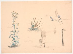 Estudios de plantas. Un muelle de baño y un barco de Christen Dalsgaard
