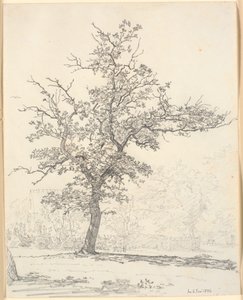 Parte de un jardín de Christen Købke