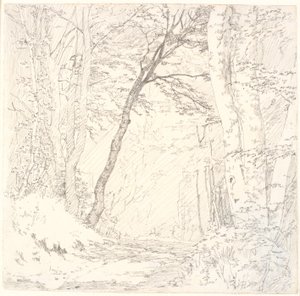 Camino a Través de un Bosque de Christen Købke