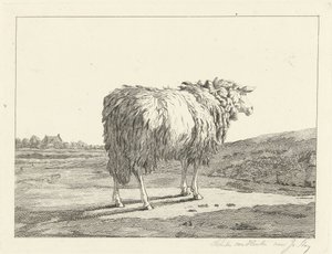 Ovejas en un paisaje de Christiaan Godfried Schutze van Houten