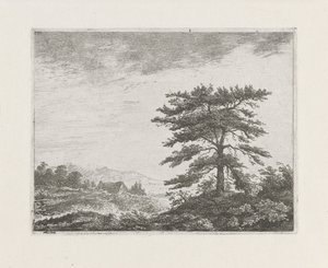 Árbol en un paisaje de brezales de Christiaan Wilhelmus Moorrees