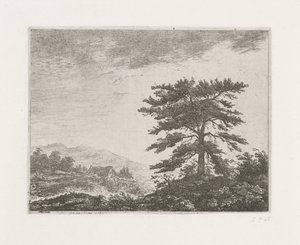 Árbol en un paisaje de brezales de Christiaan Wilhelmus Moorrees