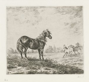 paisaje con tres caballos de Christiaan Wilhelmus Moorrees