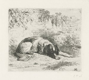 Perro acostado frente a una pared de Christiaan Wilhelmus Moorrees