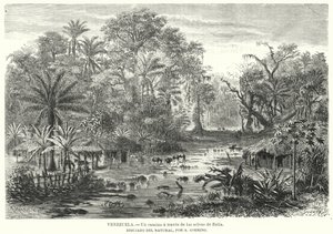 Camino a través de las selvas de Zulia, Venezuela de Christian Anton Goering