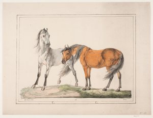 Los caballos E & G de Christian David Gebauer