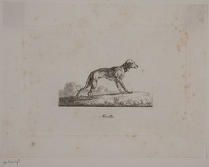 Minette de Christian David Gebauer