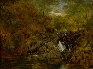 Arroyo de montaña