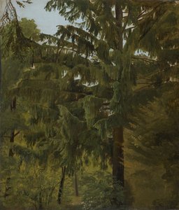 Abeto en el bosque caducifolio de Christian Friedrich Gille
