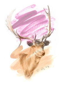 Stags Head - Cerise Sienna, 2004 (óleo y conte sobre papel)