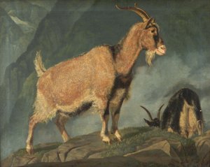 Cabras en los Alpes