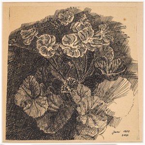 Flores