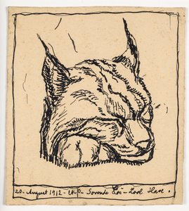 Lince durmiendo