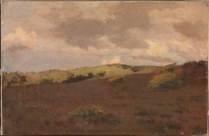 Paisaje de brezal. Otoño de Christian Mourier Petersen