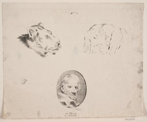Hoja de prueba con cabeza de hombre, cabeza de león, etc.