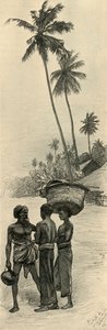 Grupo de hombres, Colombo, Ceilán de Christian Wilhelm Allers