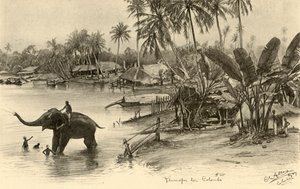 Lavando un elefante en el río, Colombo, Ceilán de Christian Wilhelm Allers