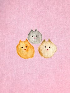 Gato rosa