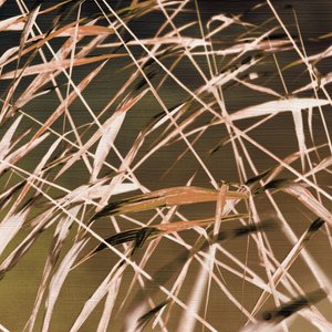Patrones abstractos de caña de Christina Sillen