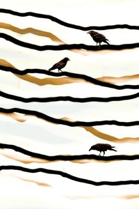 Aves sobre olas doradas de Christina Sillen