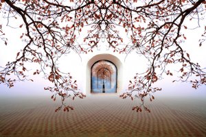 Arco otoñal de ensueño