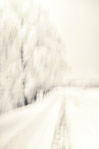 Un sendero invernal de ensueño de Christina Sillen