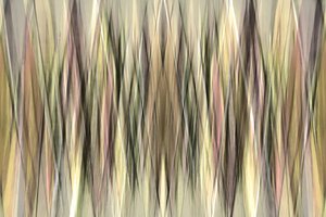 Líneas abstractas con toques terrosos de Christina Sillen