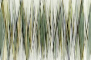 Líneas geométricas con tonos terrosos de Christina Sillen