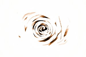 Elegante Sepia Rose de Christina Sillen