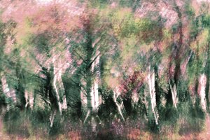 Sueño del bosque etéreo de Christina Sillen