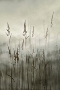  de Christina Sillen
